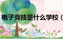 电子竞技是什么学校（电子竞技学校有哪些）