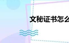 文秘证书怎么考（文秘证）