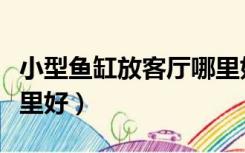 小型鱼缸放客厅哪里好呢（小型鱼缸放客厅哪里好）