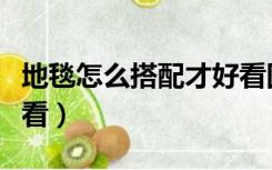 地毯怎么搭配才好看图片（地毯怎么搭配才好看）