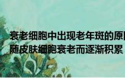 衰老细胞中出现老年斑的原因（老年斑的形成是因为黑色素随皮肤细胞衰老而逐渐积累）