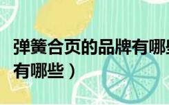 弹簧合页的品牌有哪些厂家（弹簧合页的品牌有哪些）