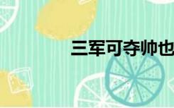 三军可夺帅也匹夫不可夺志