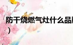 防干烧燃气灶什么品牌好（燃气灶什么品牌好）