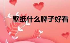 壁纸什么牌子好看（壁纸什么牌子好）