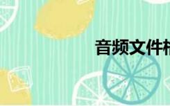 音频文件格式有哪些