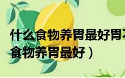 什么食物养胃最好胃不好可以吃花生吗（什么食物养胃最好）