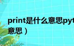 print是什么意思python语言（print是什么意思）