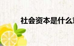 社会资本是什么意思（社会资本）