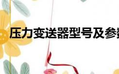压力变送器型号及参数（压力变送器型号）