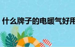 什么牌子的电暖气好用（电暖气什么样的好）