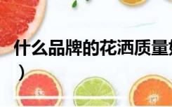 什么品牌的花洒质量好（花洒什么牌子质量好）