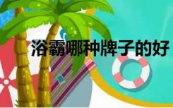 浴霸哪种牌子的好（浴霸哪种牌子好）