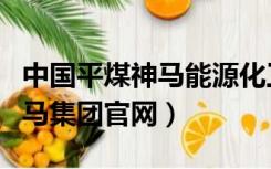 中国平煤神马能源化工集团官网（河南平煤神马集团官网）