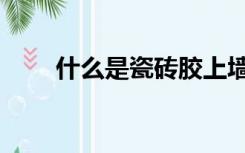 什么是瓷砖胶上墙（什么是瓷砖胶）