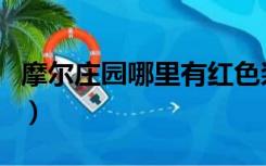 摩尔庄园哪里有红色浆果（摩尔庄园蓝色浆果）