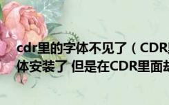 cdr里的字体不见了（CDR里面字体不见了怎么办 (就是字体安装了 但是在CDR里面却）