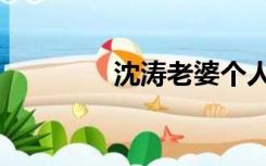 沈涛老婆个人照片（沈涛）