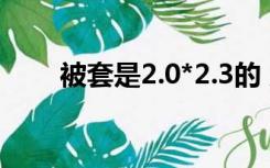 被套是2.0*2.3的 应该买多大的被芯