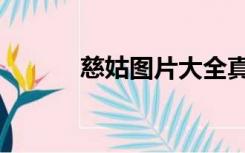 慈姑图片大全真实（慈姑图片）
