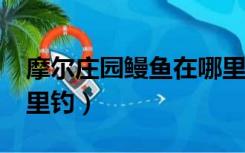 摩尔庄园鳗鱼在哪里钓?（摩尔庄园鳗鱼在哪里钓）