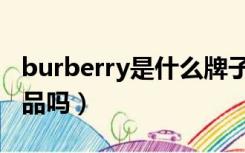 burberry是什么牌子贵吗（burberry是奢侈品吗）