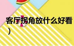客厅拐角放什么好看（客厅拐角怎样装饰好看）