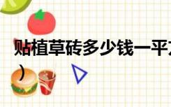 贴植草砖多少钱一平方（植草砖多少钱一平方）