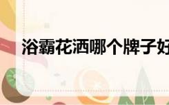 浴霸花洒哪个牌子好（花洒哪个牌子好）