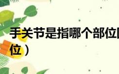 手关节是指哪个部位图片（手关节是指哪个部位）
