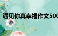 遇见你真幸福作文500字（幸福作文500字）