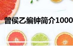 曾侯乙编钟简介1000字（曾侯乙编钟简介）