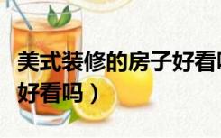 美式装修的房子好看吗视频（美式装修的房子好看吗）