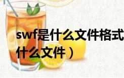 swf是什么文件格式 怎么打开 知乎（swf是什么文件）