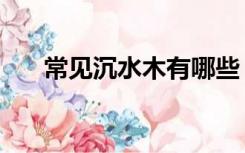 常见沉水木有哪些（沉水木料有哪些）