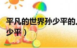 平凡的世界孙少平的人生（平凡的世界简介孙少平）