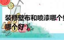 装修壁布和喷漆哪个好一点（装修壁布和喷漆哪个好）