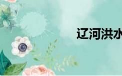 辽河洪水（辽河）