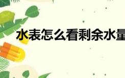 水表怎么看剩余水量（水表怎么看吨数）