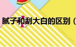 腻子和刮大白的区别（刮大白和刮腻子区别）