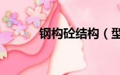 钢构砼结构（型钢砼框架结构）