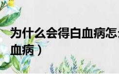 为什么会得白血病怎么造成的（为什么会得白血病）