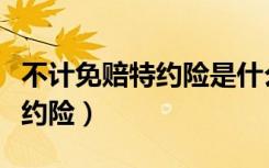 不计免赔特约险是什么险（什么叫不计免赔特约险）
