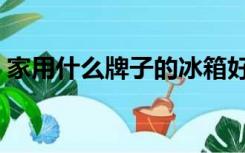 家用什么牌子的冰箱好（什么牌子的冰箱好）