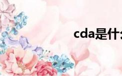 cda是什么（cda）