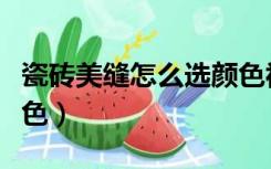 瓷砖美缝怎么选颜色视频（瓷砖美缝怎么选颜色）