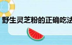 野生灵芝粉的正确吃法（灵芝粉的正确吃法）
