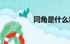 同角是什么意思（同角）