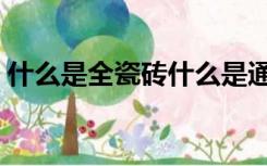 什么是全瓷砖什么是通体砖（什么是通体砖）