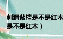 刺猬紫檀是不是红木会发臭味吗?（刺猬紫檀是不是红木）
